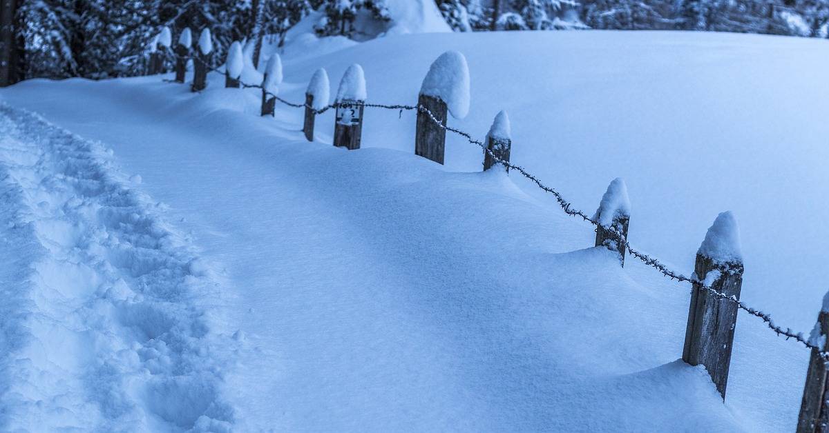 when is the best time of year to install a fence
